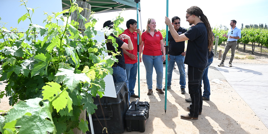 Dr. Luca Brillante and resarch staff and students gather data in the Campus Vineyard for a resarch project.