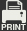 Icon Print